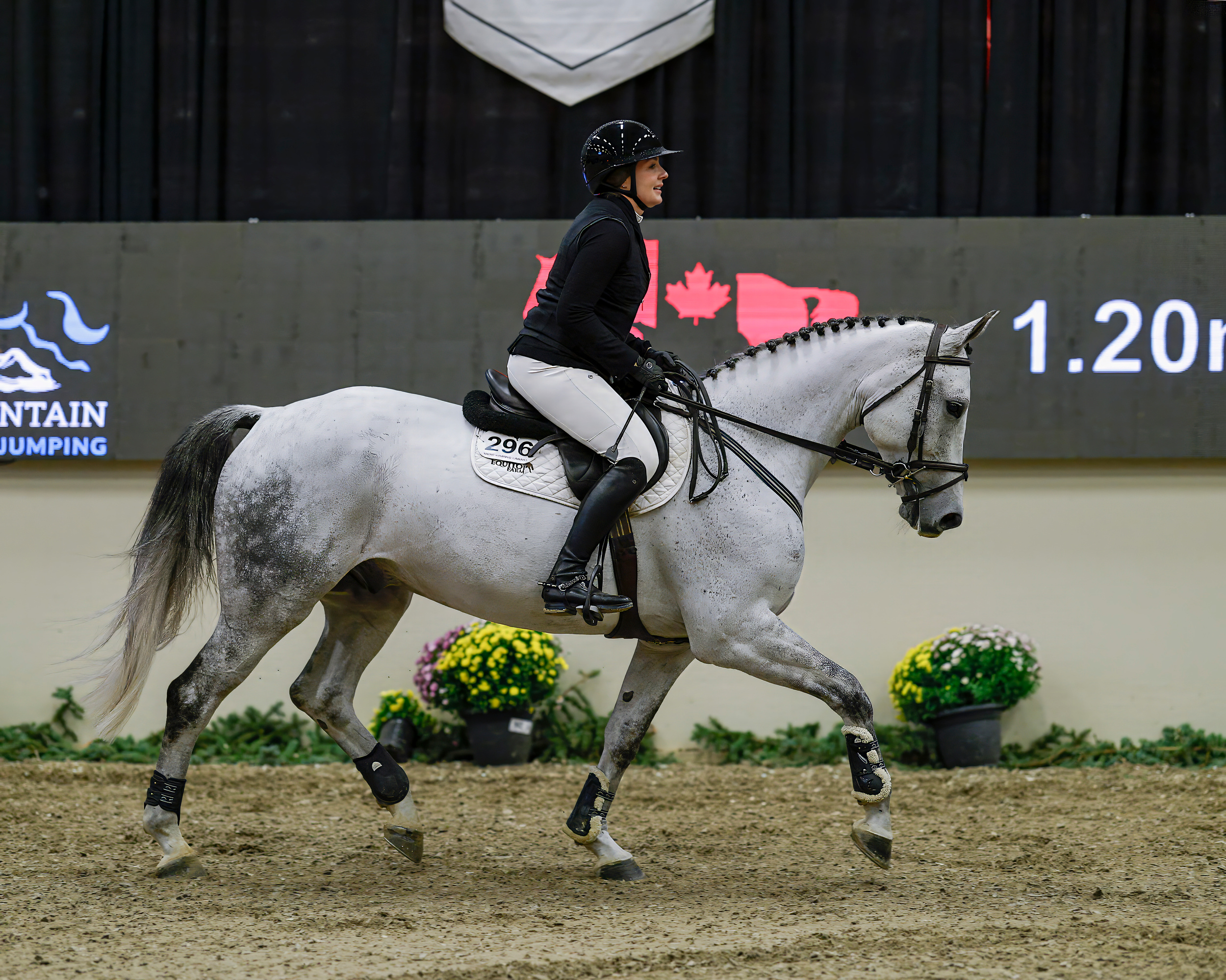 2024 - haylee - 1.20m - royal west - saturday - oct 26th - 10830-zf-8777-43259-1-001-001